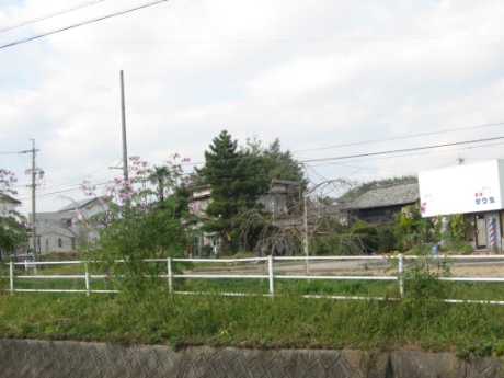 画像49