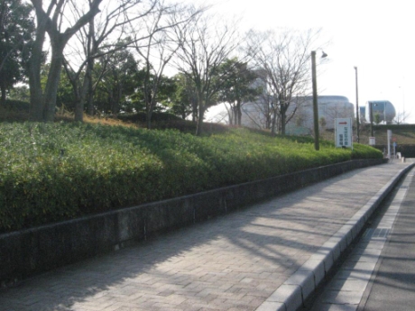 画像23