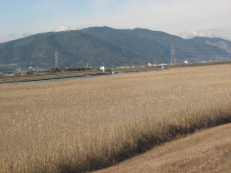 画像30