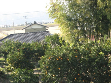 画像39