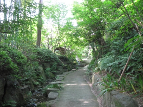 画像6
