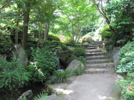 画像14