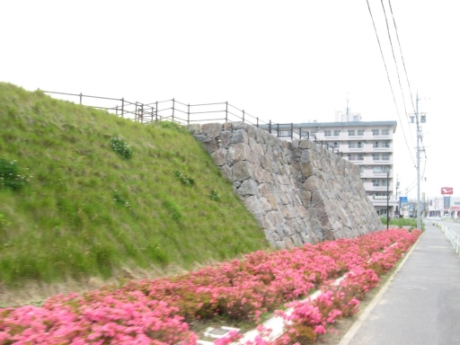 画像13