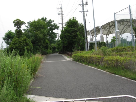 画像38