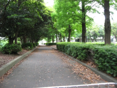 画像40