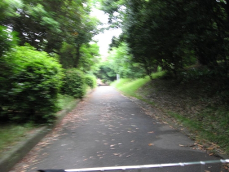 画像42
