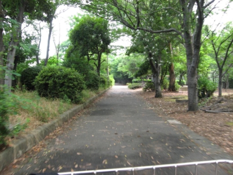 画像44