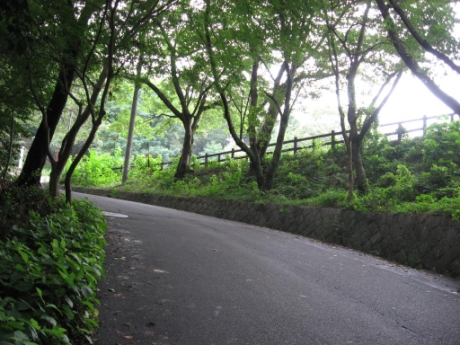 画像33