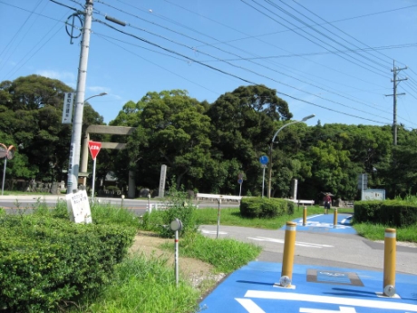 画像9