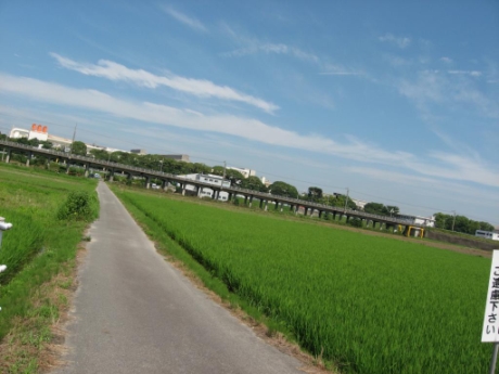 画像14