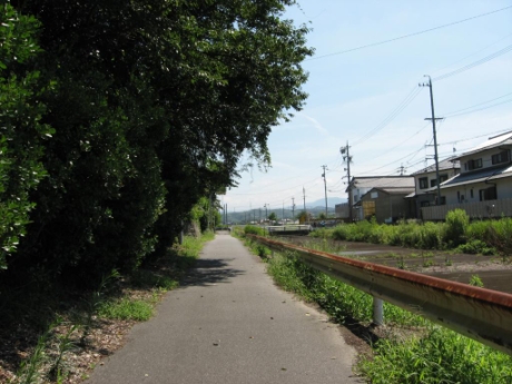 画像15