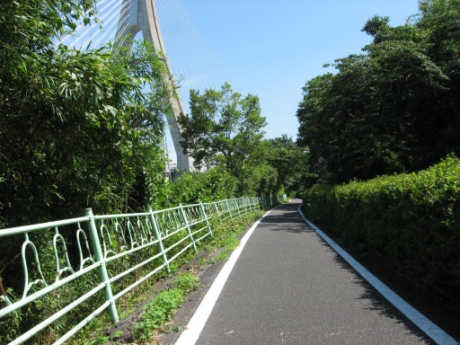 画像16