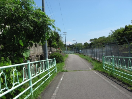 画像17
