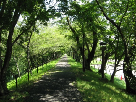 画像20