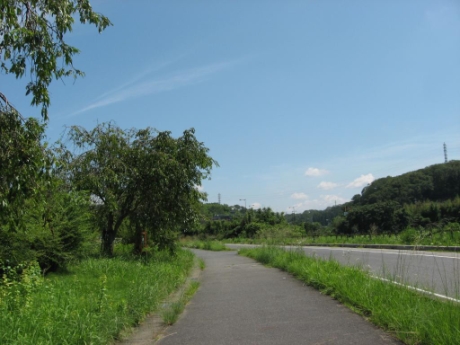 画像21