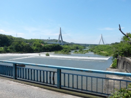 画像24