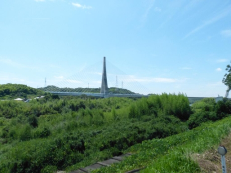 画像36