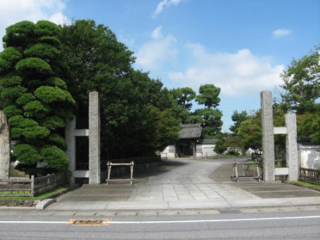 画像8