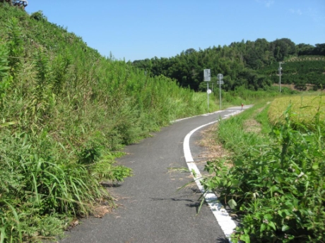 画像7