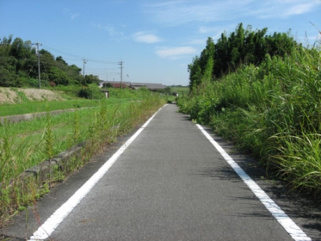 画像8
