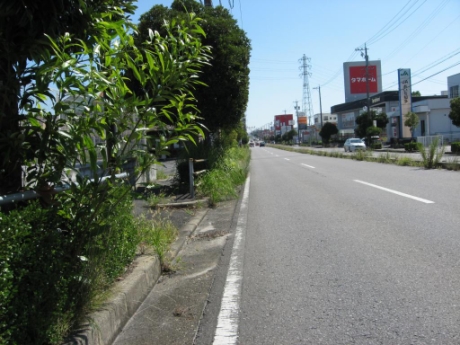 画像20