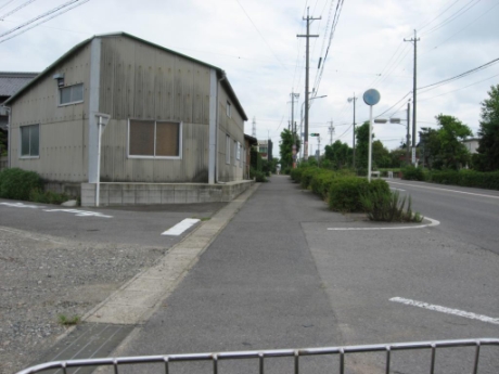 画像5