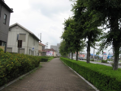 画像13