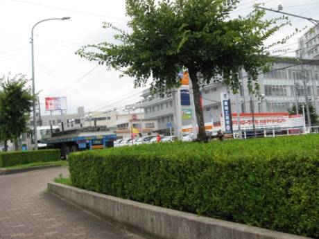 画像14