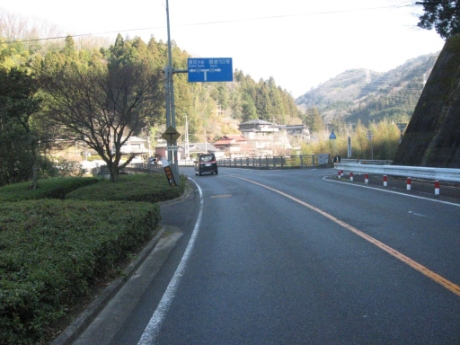画像8