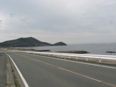 画像8
