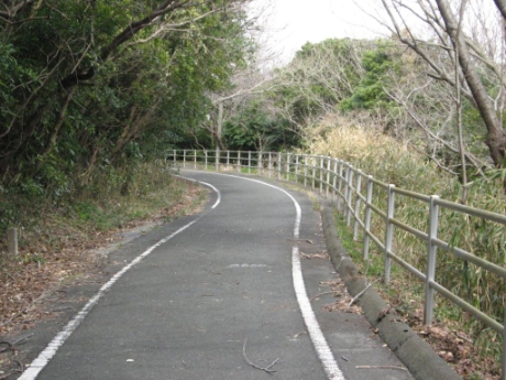 画像21