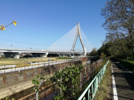 画像12