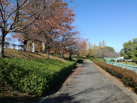 画像18