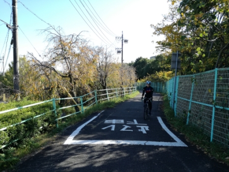 画像19