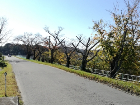 画像23