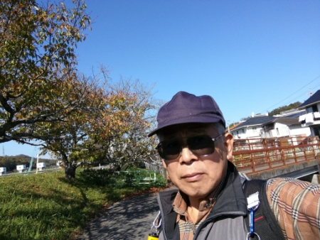 画像24