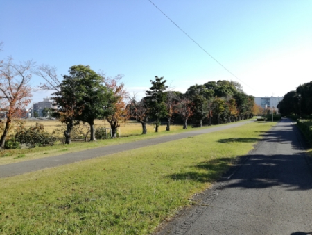 画像27