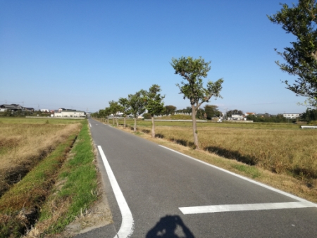 画像37