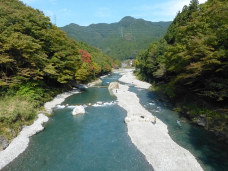 画像6