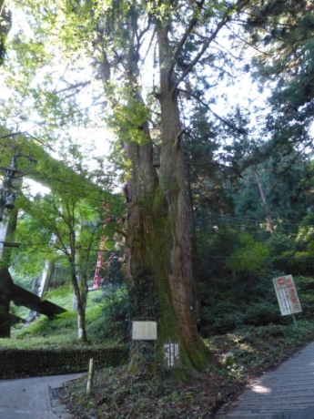 画像11