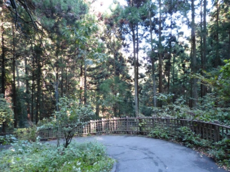 画像12