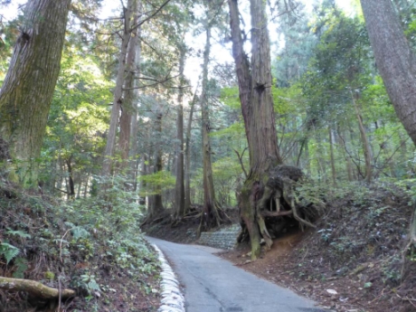 画像14