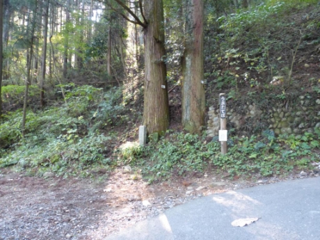 画像13