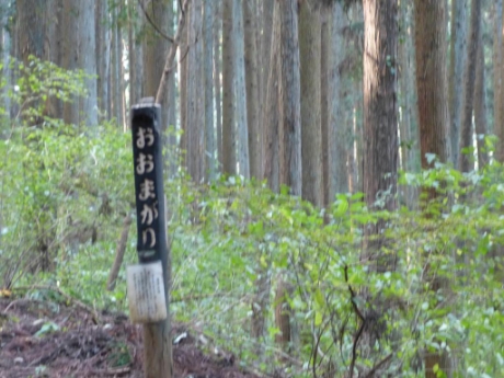 画像19