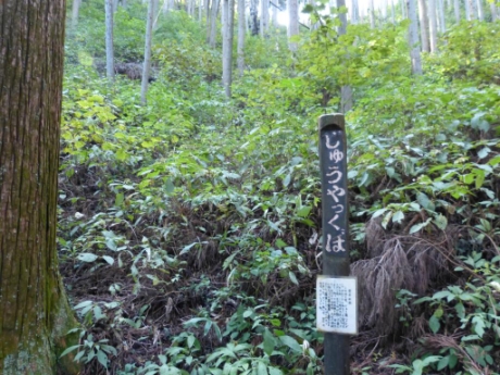 画像24