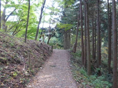 画像45