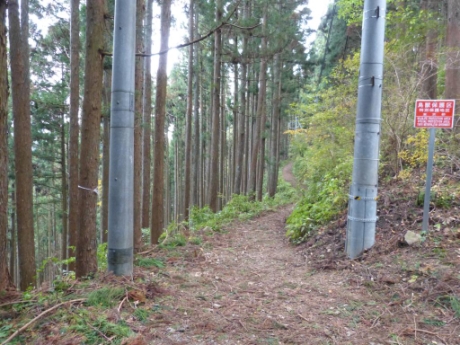 画像48