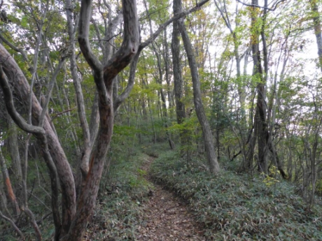 画像50