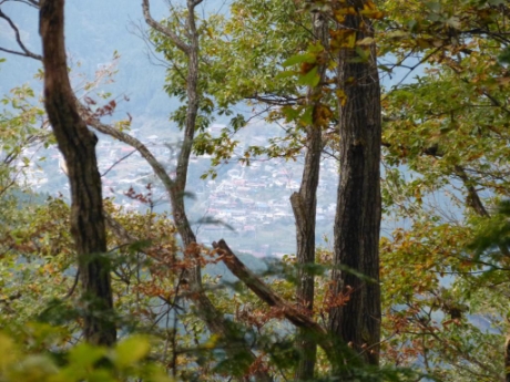 中ノ棒山