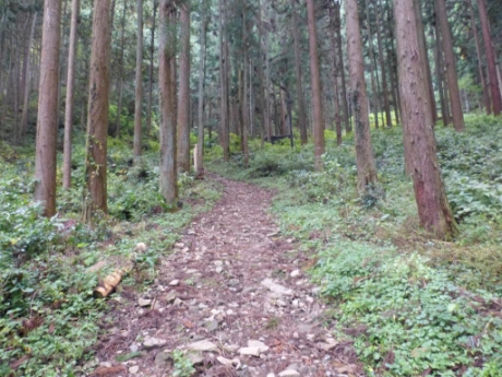 画像54
